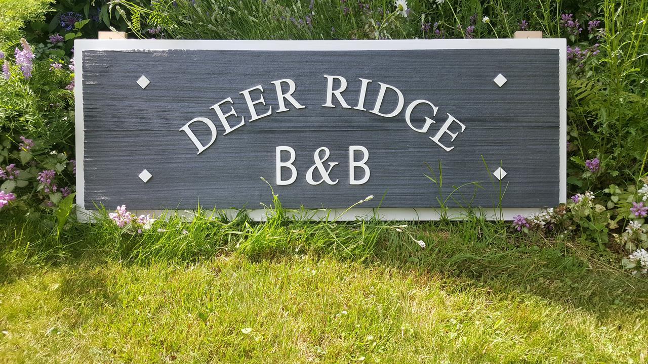 Deer Ridge B&B Golden Esterno foto